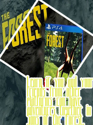 The forest cross platform